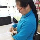 헬로펫 여수 이미지