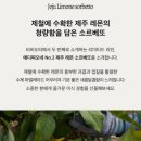 비비도따 이미지