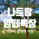 네일포롱 이미지