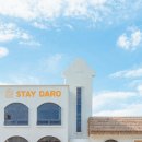 스테이 다로 2 이미지