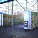 수직의 정원 이미지