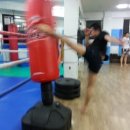 Mr.킥복싱 이미지