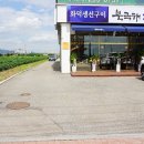 북극해고등어 이미지