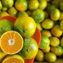 대진농장 이미지