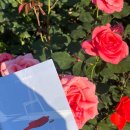 한우리농장 | 📚🎧홍학의 자리 / 햄릿 + 보이스오브햄릿 / 매디슨카운티의 다리 / 사랑의 기술