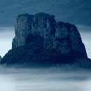 복생도 Daum카페
