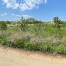 단봉낚시터 이미지