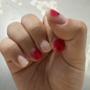 [대전 봉명동 네일] 만족해서 또 다녀온 '홀림네일' 두 번째 내돈내산 후기 (5.5 이달의아트, 가격 총정리)