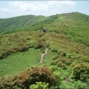 제 76차 정기 산행 소백산 비로봉.국망봉 이미지