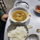 태성식당 | 태백 황지동 원조태성실비식당 후기