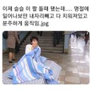 새해 일출 / 동물 친구들 / 나 상친놈이 아니야