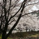 베어스 타운 이미지