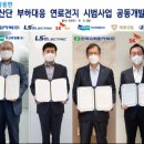 태광태양광발전소 이미지