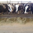 평서원목장 이미지