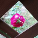 창신세탁소 이미지