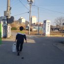 좌항2리 좌전 이미지