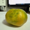 우리아이검도스쿨 이미지