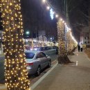 올리브 장작 이미지