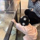 2월 둘•셋째 주 일상_ 바빠서 행복한 한주 💞