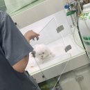 구자동동물병원 이미지