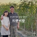 뜨렌비 이미지