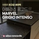 주식회사 콩코드 이미지