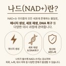 하늘라인의원 | 성수동 만성피로 수액, NAD+ 나드주사 3회 직접 맞아본 원장 후기