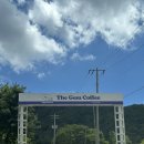 풍동동막길 | 충주풍동카페 [더젬]