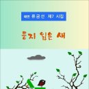 둥지 잃은 새 / 해련 류금선 시집 (전자책) 이미지