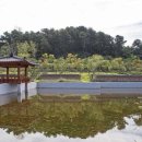 세종동_전월산 무궁화 테마공원 이미지