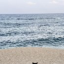 사천진보건진료소 이미지