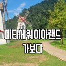 메타세쿼이아랜드 | 메타세쿼이아랜드 어린이프로방스 담양 공룡놀이터