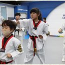 브레인박사 태권도장 이미지