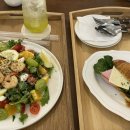 대구황금동우체국(1층) | 대구 애견동반카페 황금동브런치카페 라몽드 브런치 카페 방문 후기 🐶🌿