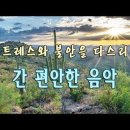 머리가 맑아지는 아침의 숲속 피아노 음악🌲하루10분 만병을 치료 해주는 힐링 명상 기치료 음악 및 영상🌲아침명상음악 - 아침음악 - 이미지