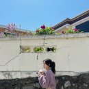 하장3길-1 | 밀려버린 내 5월 어느날의 일상 ..