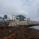 덕성떡집 | 제주 모슬포-사계-송악산 러닝
