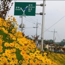 울진평해우체국 이미지