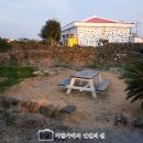 두근두근하우스 in 성산 이미지