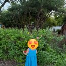 천북빌리지풀빌라 이미지