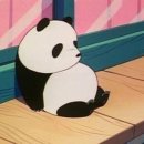 대전으로 가는 여행 이미지