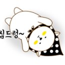 스튜디오 양귀비 이미지