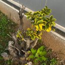 전정표한의원 이미지