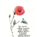 사랑으로 이미지