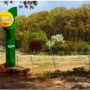 고양누리길 3코스 서삼릉누리길 이미지