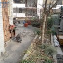 동해시-63 이미지