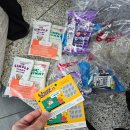 고로고로펫 | 2026년 부산 벡스코 집사들의 성지 궁디팡팡캣페스타 내돈내산 방문 후기