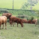 박진규농장 이미지