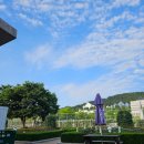 조선대학교 장미원 | 광주 조선대학교 장미원 장미축제 :: 6월 초 방문 후기 주차