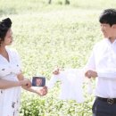 까사보니따 스튜디오 이미지